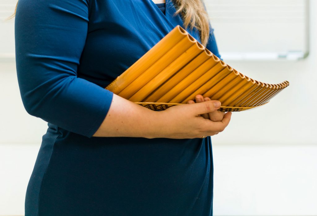 Kinder panfluit - Muziekinstrumenten kopen? | Korting tot 25 Kinder panfluit - Muziekinstrumenten kopen? | Korting tot 25