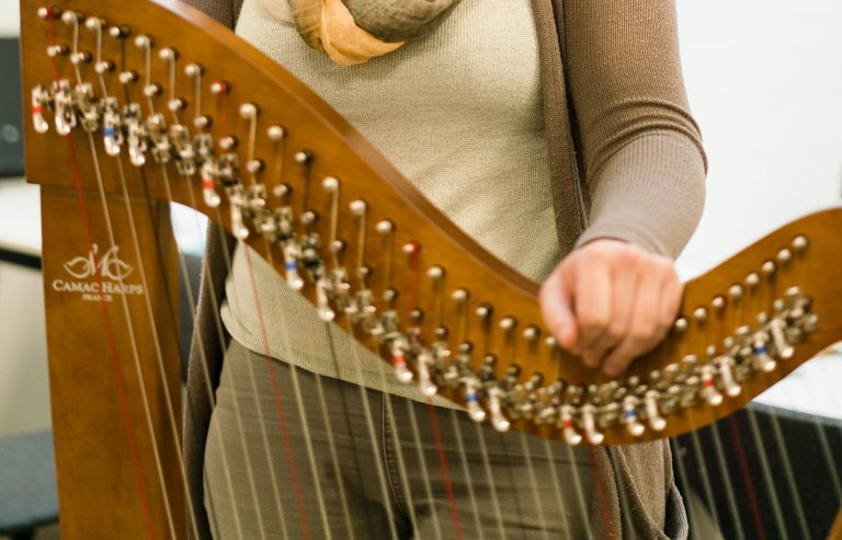 harples, harp bij Muziekschool Krimpen